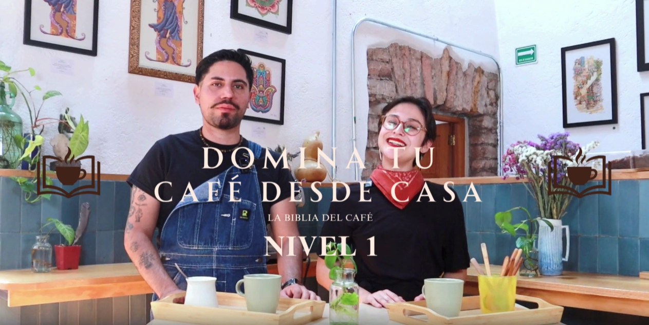 Cargar video: 