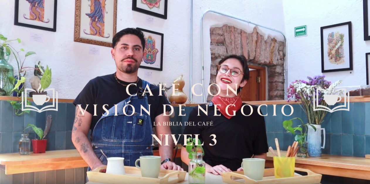Cargar video: 