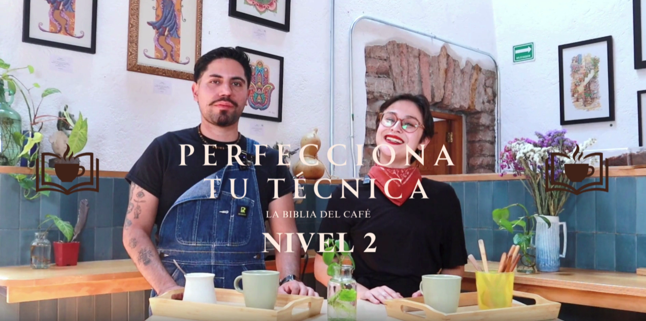 Cargar video: 